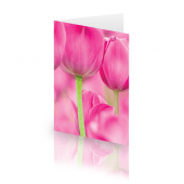 pink-flower_card